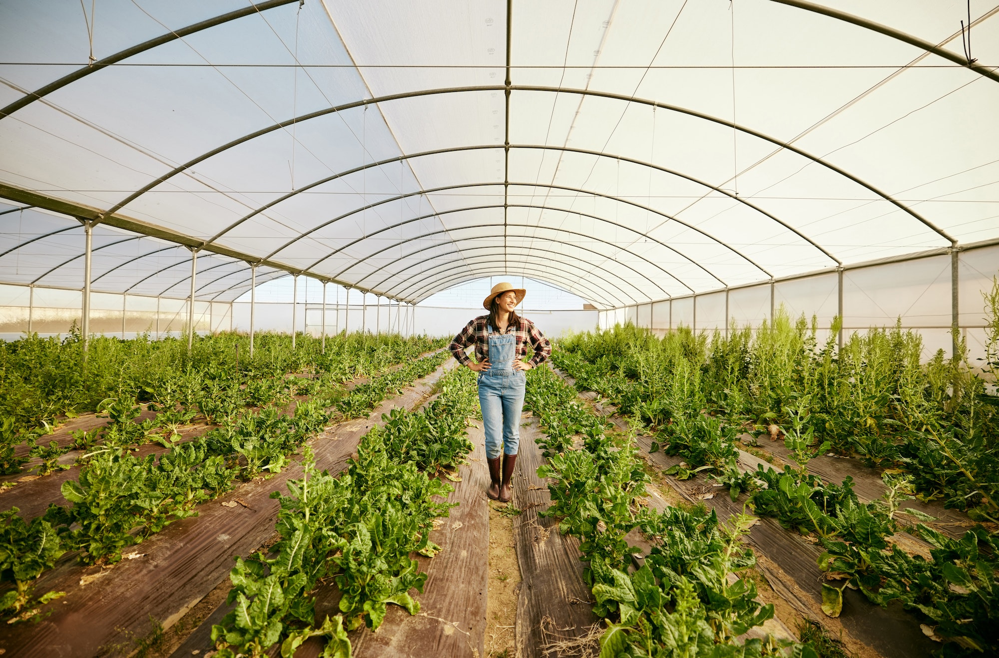 Farmer, greenhouse and happy agriculture woman in eco friendly business for environmental health. C